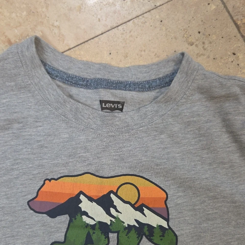 Levi's Light Gray Tee with Multicolor Mountain Bear Graphic